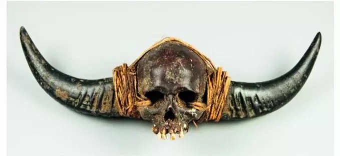 Read more about the article Stop UK auction of Naga skull, CM urges Centre