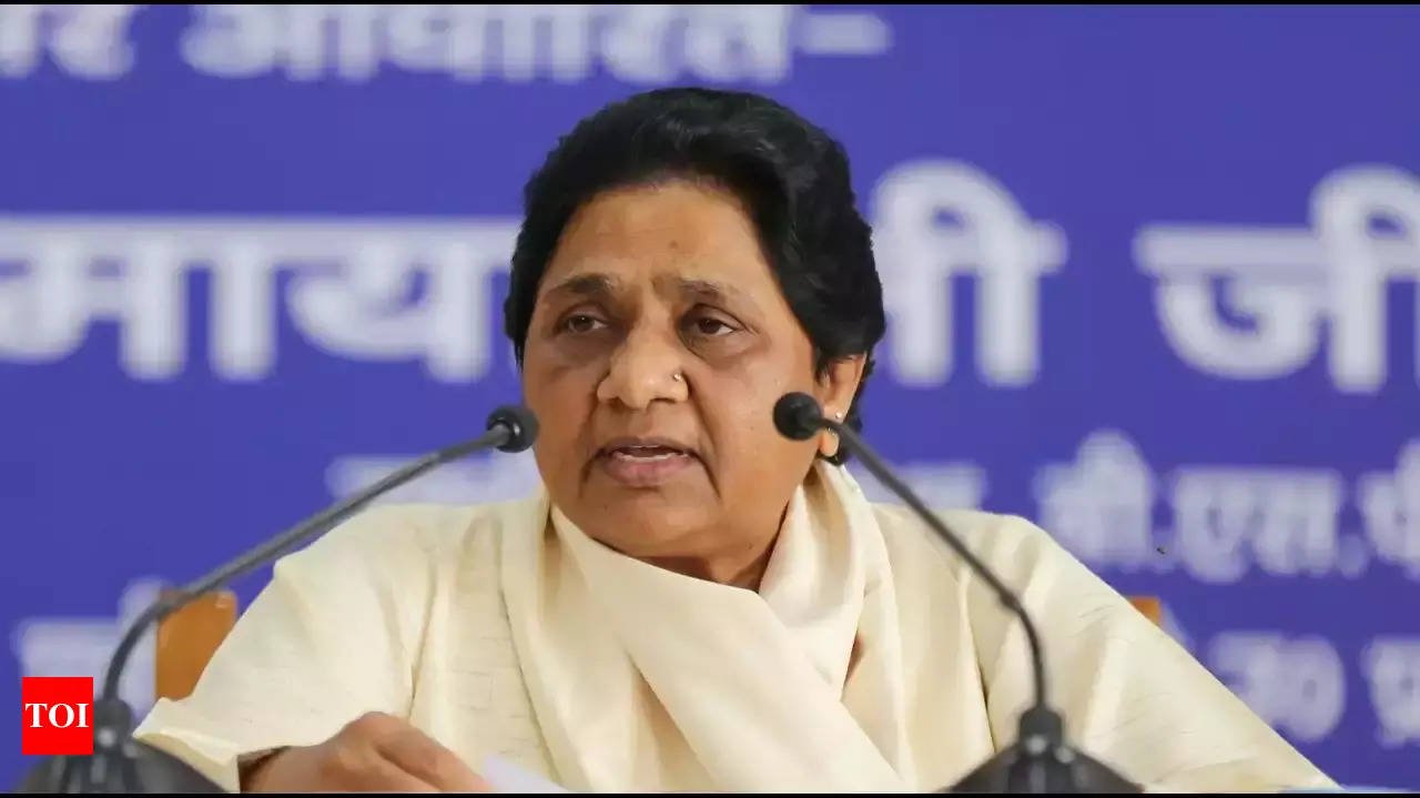 Read more about the article BSP will contest assembly elections in Jharkhand, Maharashtra and Delhi: Mayawati