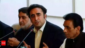 Read more about the article ‘Whether they blame us or we blame them … ‘: What Bilawal Bhutto said on India-Pak talks amid SCO meet