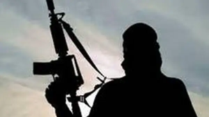 Read more about the article 2 terrorists killed in North Kashmir as forces intensify crackdown