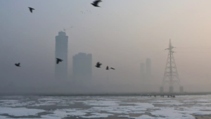 Read more about the article India’s 10 most polluted cities in October all in NCR