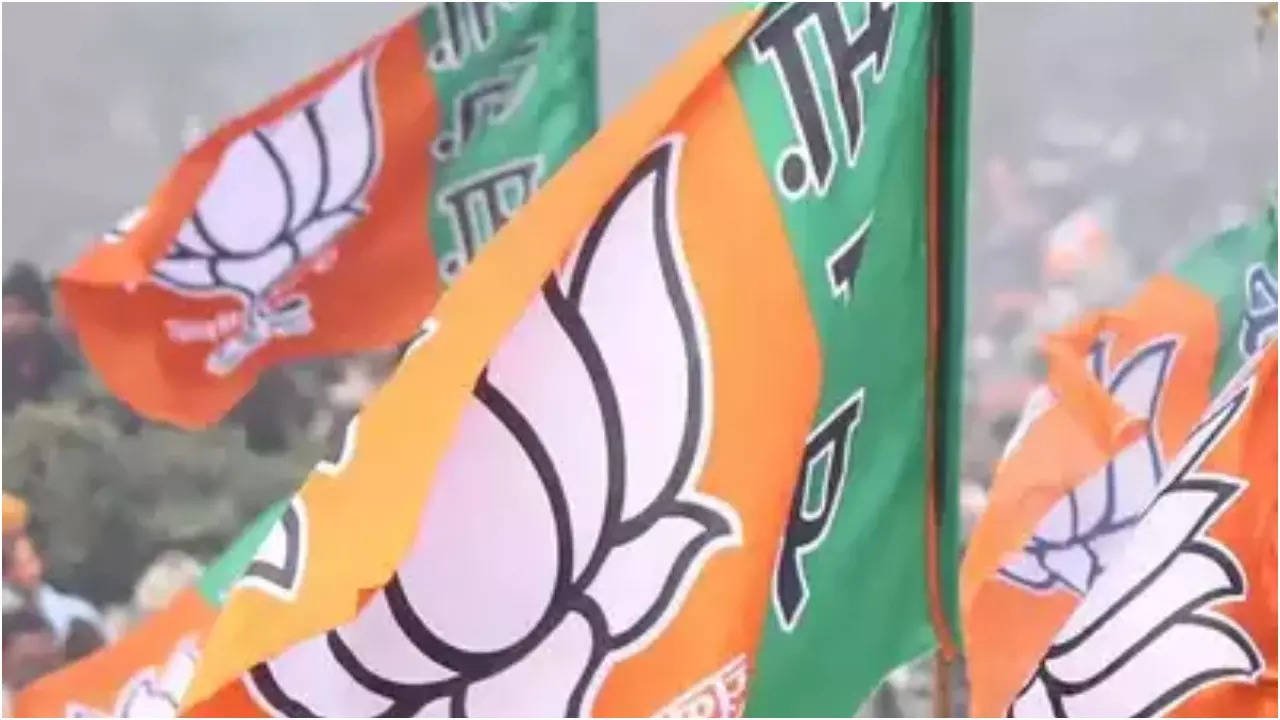 You are currently viewing BJP promises strict anti-conversion law, skill census in Maharashtra