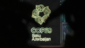 Read more about the article COP29 gets momentum with consensus on creation of carbon credits standards, India wants to conclude work on carbon market