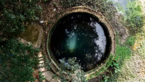 Read more about the article In Dantewada, dreams of liquid gold turn to dust