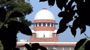 Read more about the article Supreme Court calls for committee to oversee tree felling in Delhi as green cover dwindles