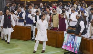 Read more about the article Samvidhan Diwas in Parliament: BJP posts clips, accuses Rahul Gandhi of not greeting President Murmu at meet