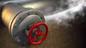 Read more about the article 1 dead, 9 taken ill as toxic gas leaks in Andhra Pradesh’s pharma company