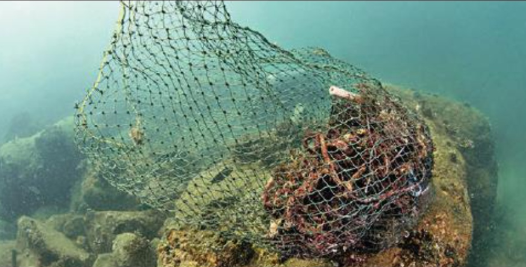 You are currently viewing 250kg of debris cleared from Sindhudurg reefs