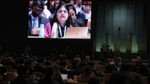 Read more about the article Unpacking India’s fuming response at COP29: What really transpired?