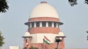 Read more about the article PIL flags job threat to private companies’ ICC members