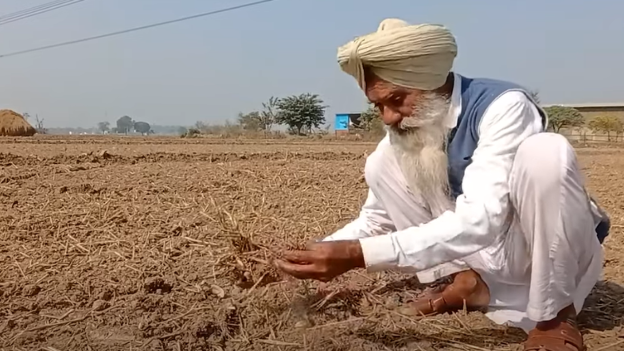 You are currently viewing Watch:’Why I didn’t set my farm on fire this year’