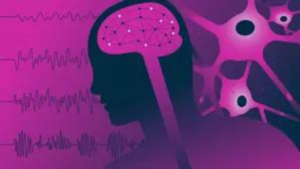 Read more about the article Neuro-robot offers help in epilepsy treatment