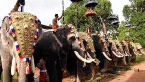 Read more about the article Thrissur Pooram: Two Devaswoms move Supreme Court against Kerala high court’s guidelines for elephant parade