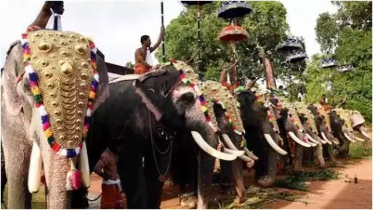 You are currently viewing Thrissur Pooram: Two Devaswoms move Supreme Court against Kerala high court’s guidelines for elephant parade