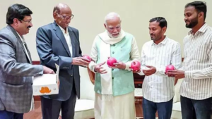 Read more about the article Sharad Pawar holds first meet with PM Modi since MVA loss, gifts him pomegranates from Maharashtra