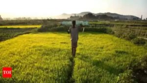 Read more about the article Centre releases draft policy seeking states to move towards unified national market for agriculture produce, farmer groups oppose it