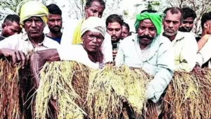 Read more about the article SC on MSP PIL: ‘Why can’t govt tell farmers its doors are open for talks?’