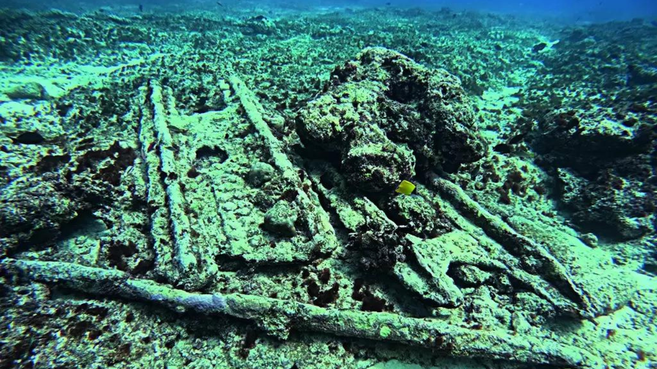 You are currently viewing Lakshadweep divers bump into wreck of centuries-old warship