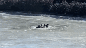 Read more about the article ‘Be cautious’: Kiren Rijiju shares video of tourists stuck in frozen Arunachal lake
