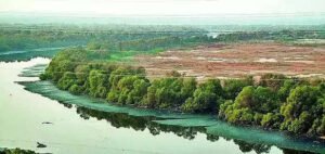 Read more about the article CRZ scam: SIT finds 63 more forged land records; 165 so far