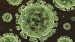 Read more about the article HMPV cases part of ‘usual seasonal surge in northern hemisphere’, says WHO
