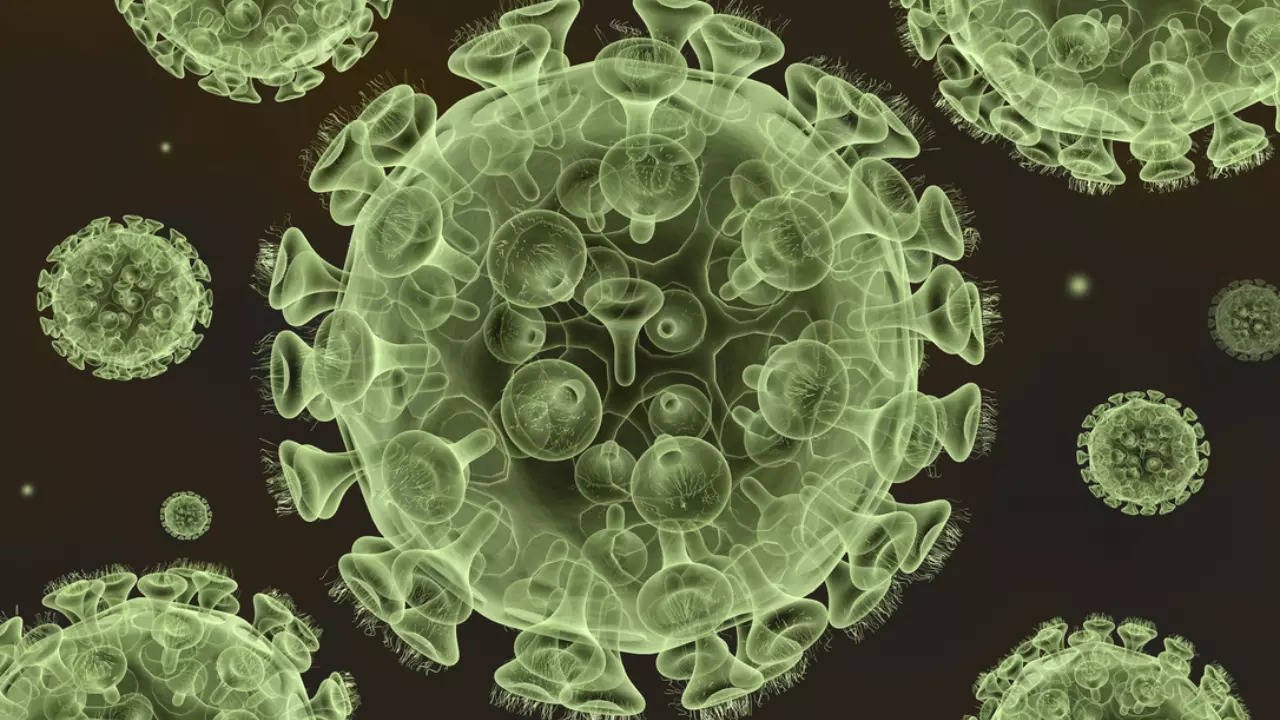 You are currently viewing HMPV cases part of ‘usual seasonal surge in northern hemisphere’, says WHO