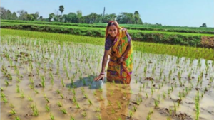 Read more about the article i-DEATE, i-NNOVATE, i-MPLEMENT: Success stories from rural West Bengal on solar powered organic farming, lending, millet cultivation