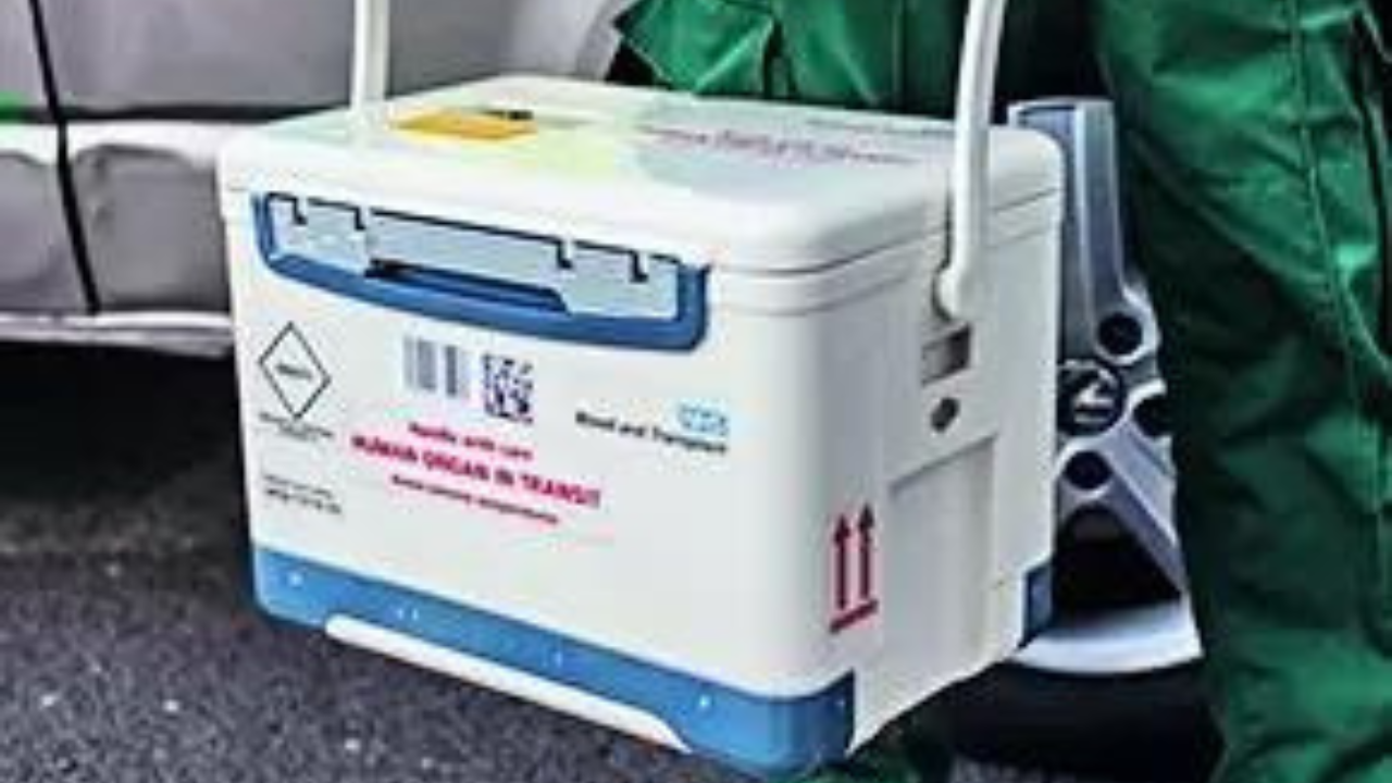 You are currently viewing Central government staff who donate organs are entitled to 42 days of special CL