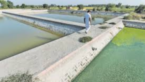 Read more about the article Bizarre decision: Controversial plan diverts water drainage to village center, raising eyebrows among villagers
