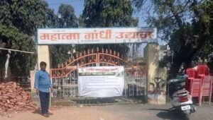 Read more about the article 64 crows die in Latur, MP lab says it’s bird flu
