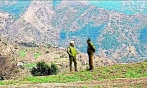 Read more about the article Another 5 hospitalised, Badhaal village declared ‘containment zone’