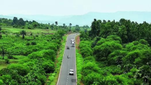 Read more about the article SC to government: Don’t do anything that shrinks forests