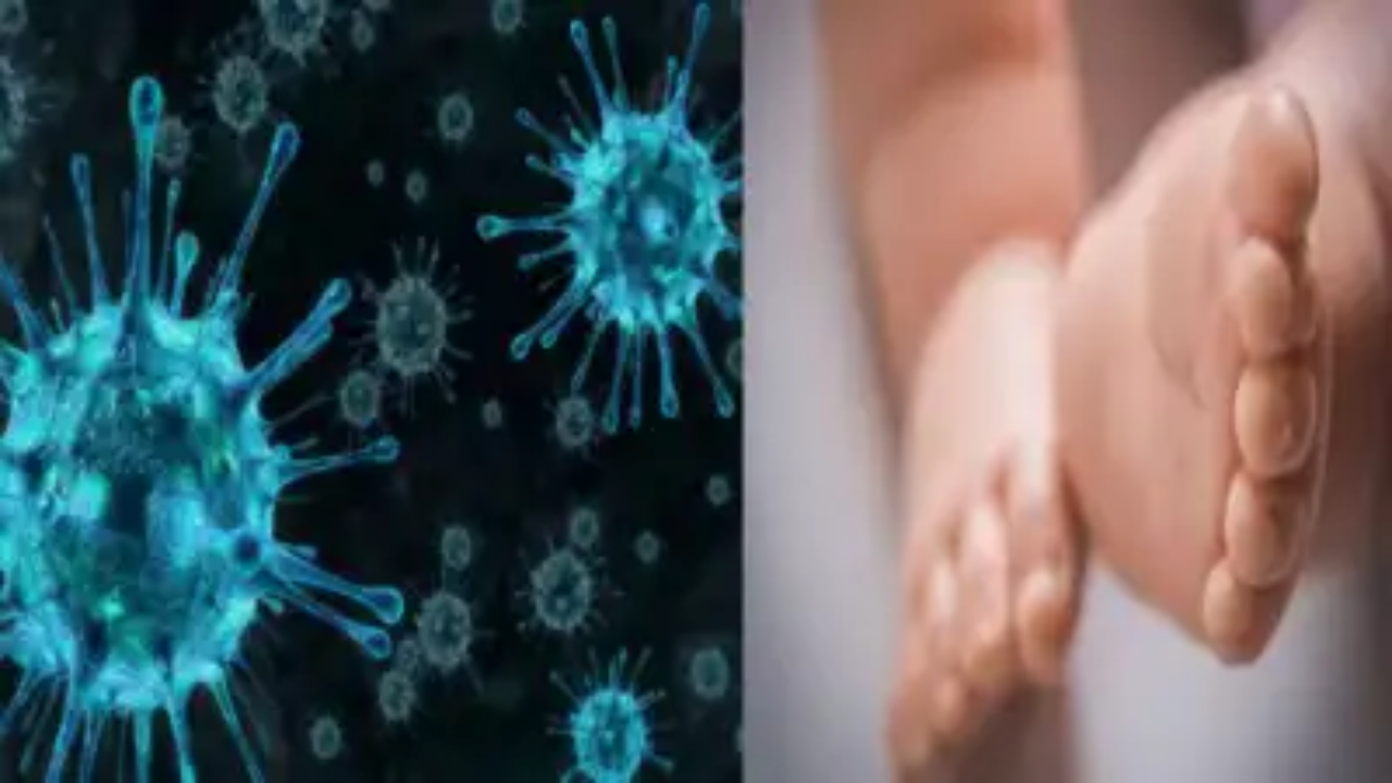 You are currently viewing India reports 59 HMPV cases: Health ministry