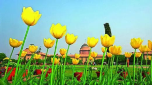 Read more about the article Is India losing the spring in its step?