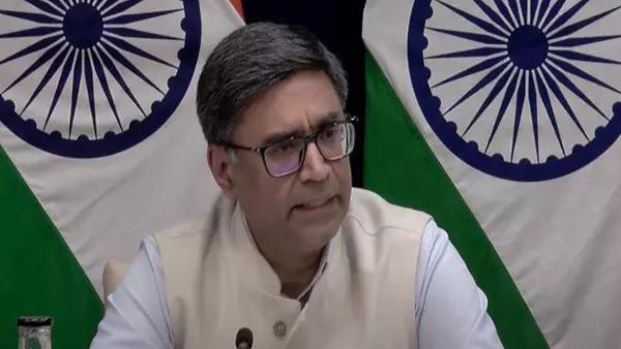 You are currently viewing In touch with US authorities for surrender of Tahawwur Rana: MEA