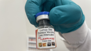 Read more about the article Bharat Biotech arm Biovet gets CDSCO nod for lumpy skin disease vax for cattle