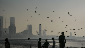 Read more about the article ‘Arbitrary’: Bombay HC junks MMRDA’s order to end French company contract
