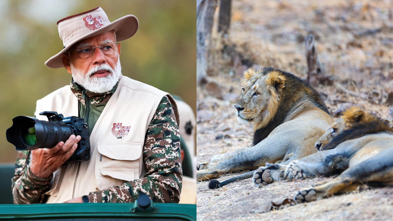 You are currently viewing Watch: On World Wildlife Day, PM Modi takes a lion safari at Gir National Park