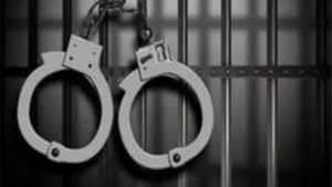 Read more about the article 3 revenue officials among 12 held for scribe murder