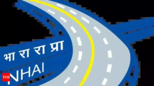Read more about the article In move to decongest Ring Road, NHAI to build elevated corridor between INA and Nelson Mandela Marg