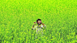 Read more about the article Parliamentary panel proposes minimum support price for organic crops, says MSP will incentivise transition to natural farming