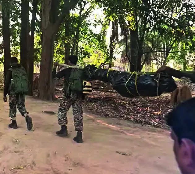 You are currently viewing In 80 days, 113 Maoists killed by forces in Chhattisgarh