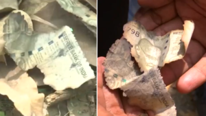 Read more about the article Judge cash row: Burnt pieces of Rs 500 notes ‘found’ near Justice Yashwant Varma’s residence