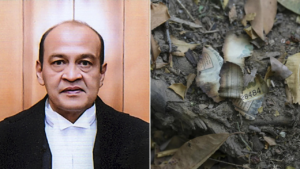 Read more about the article Cash row: CJI Sanjiv Khanna meets bar bodies to discuss transfer of Justice Yashwant Varma to Allahabad HC
