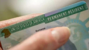 Read more about the article Green Card freeze: Donald Trump administration pauses processing applications, what does it mean for Indians? FAQ