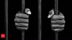 Read more about the article UAE pardons 500 Indian prisoners