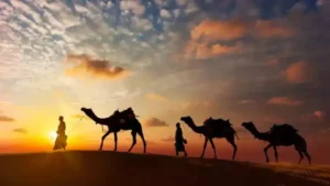 Read more about the article Why Rajasthan Day is changing calendars