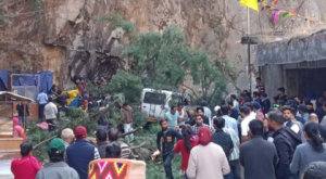 Read more about the article 6 killed after uprooted tree crushes vehicles in Himachal