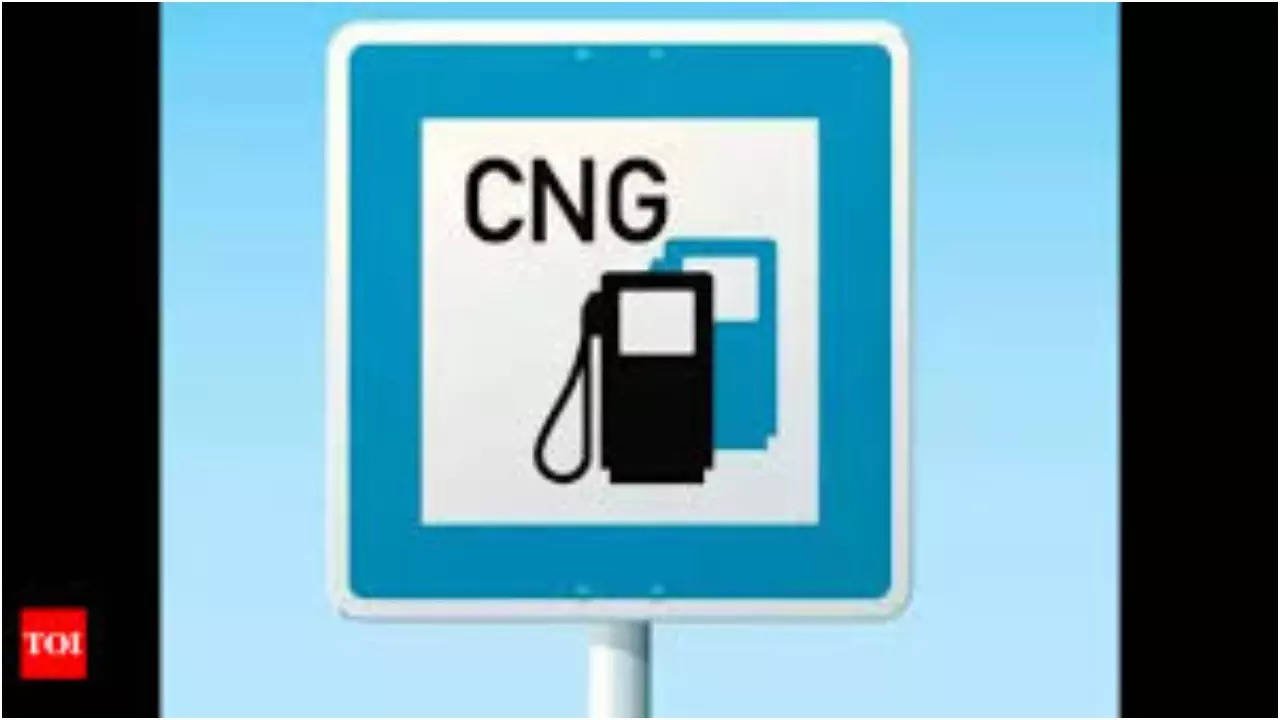 You are currently viewing Natural gas to cost more as govt raises price cap after 2 years, jury out on CNG hike