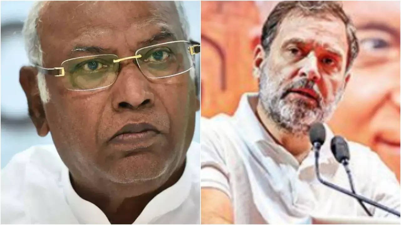 You are currently viewing Congress plans big party rejig: What are the proposed organisation reforms